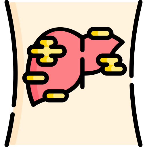 fegato Special Lineal color icona