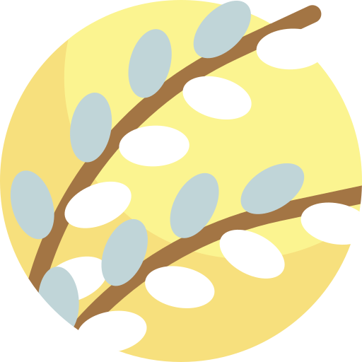 kotka Detailed Flat Circular Flat ikona