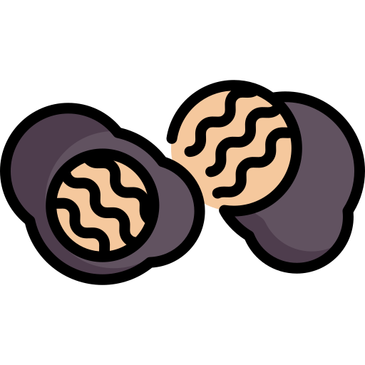 Truffle Special Lineal color icon