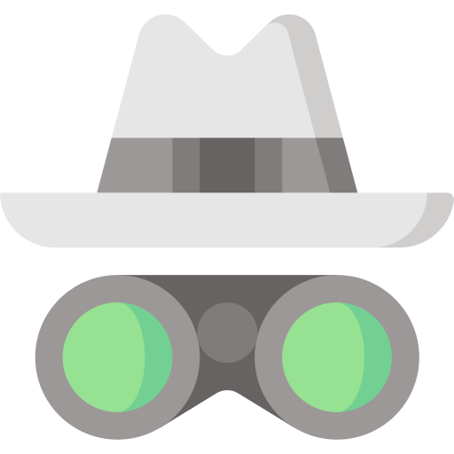 Espionage Special Flat icon