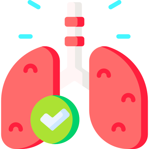 Lung Special Flat icon