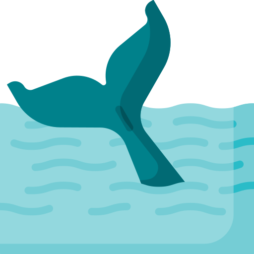ballena Special Flat icono