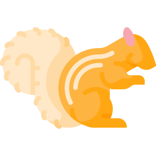 Squirrel Special Flat icon