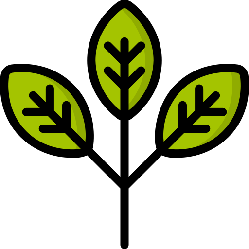 eucalipto Basic Miscellany Lineal Color icono