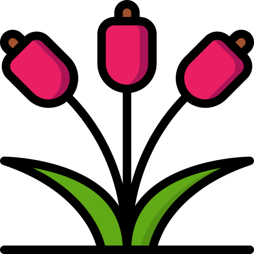 blumen Basic Miscellany Lineal Color icon