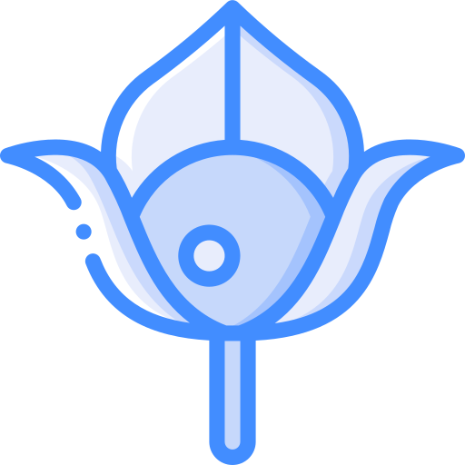 physalis Basic Miscellany Blue icoon