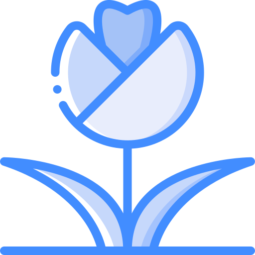 Тюльпан Basic Miscellany Blue иконка