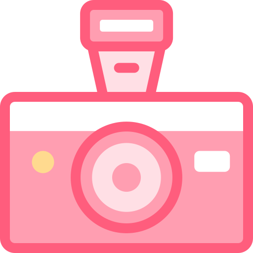 caméra Detailed color Lineal color Icône