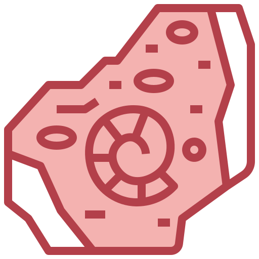 fossil Generic Outline Color icon