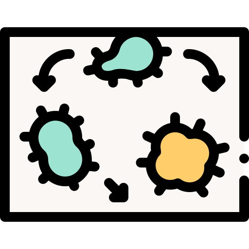 진화 Detailed Rounded Lineal color icon