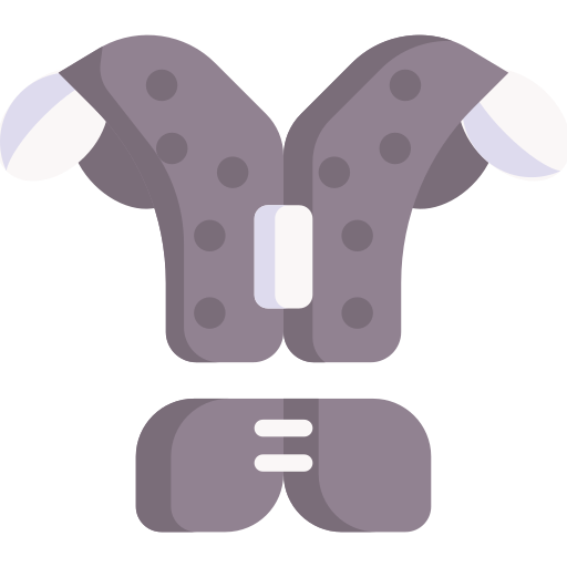 Chest protection Special Flat icon