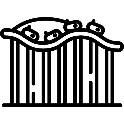 montaña rusa Special Lineal icono