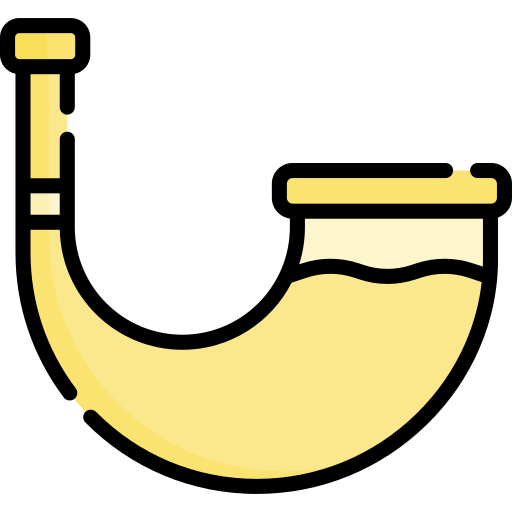 bocina Special Lineal color icono