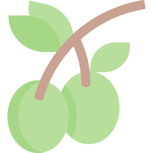 Olive Special Flat icon