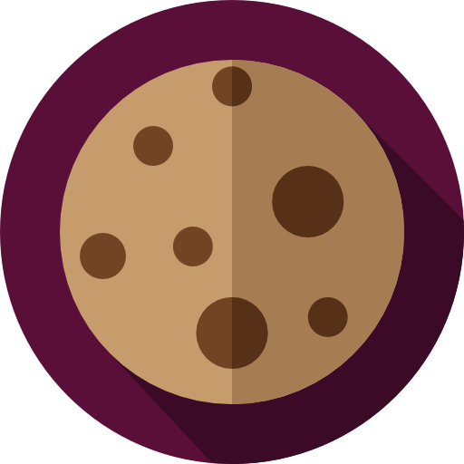 biscuit Flat Circular Flat Icône
