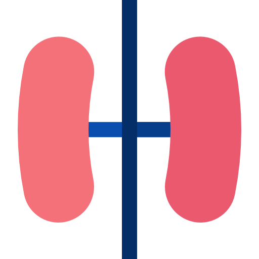 pulmón Basic Straight Flat icono