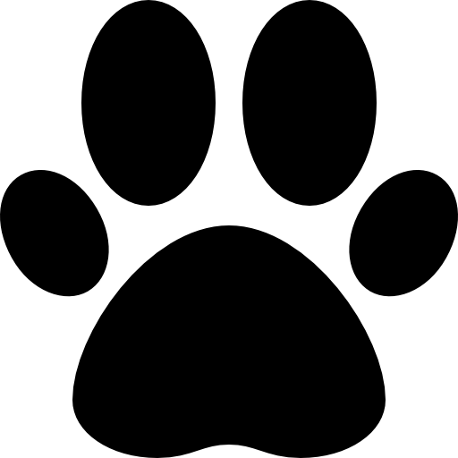 orma Basic Straight Filled icona