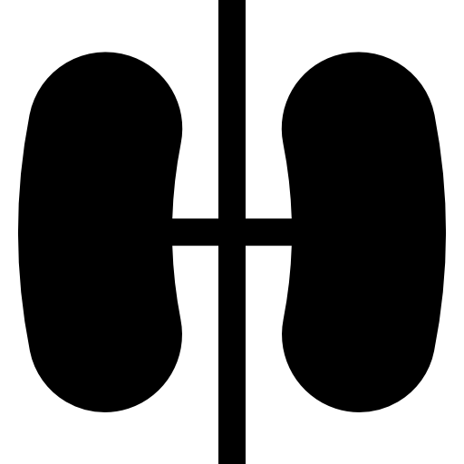 polmone Basic Straight Filled icona