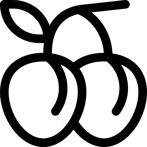 ciruela Basic Rounded Lineal icono