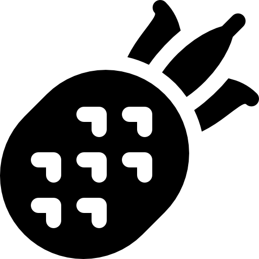 파인애플 Basic Rounded Filled icon