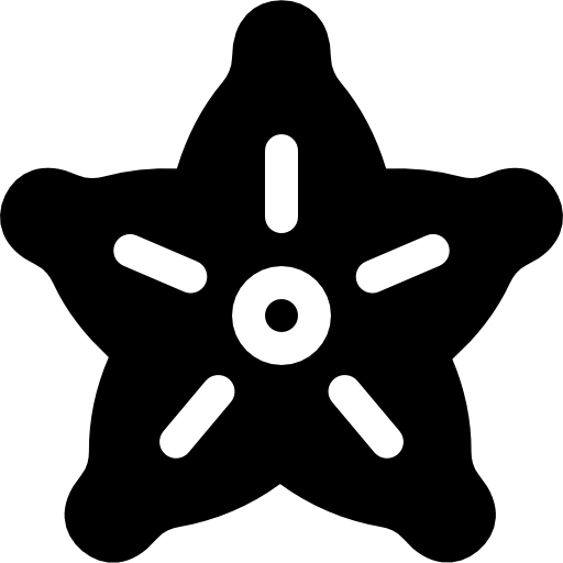 carambola Basic Rounded Filled icon