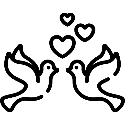 palomas Special Lineal icono
