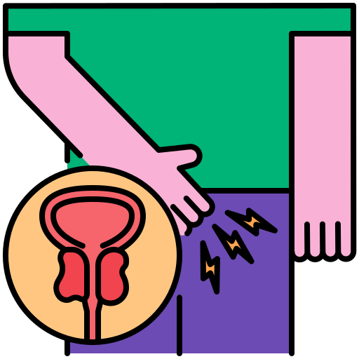 膀胱 Generic Outline Color icon