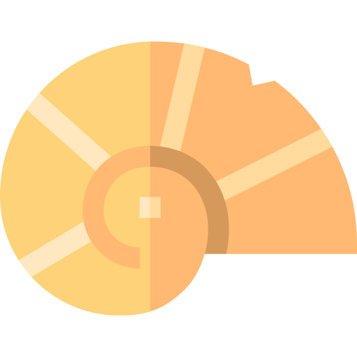 fossil Basic Straight Flat icon