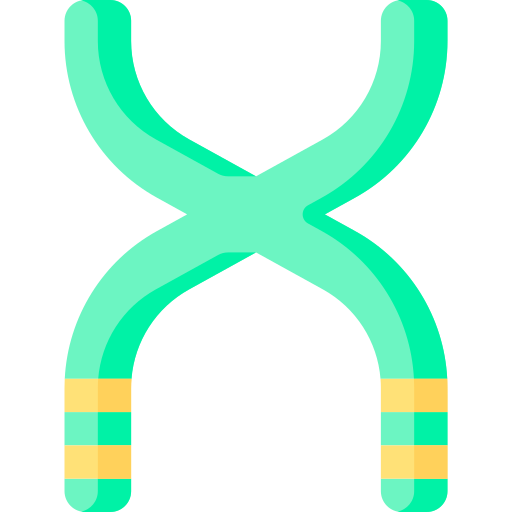 chromosome Special Flat Icône