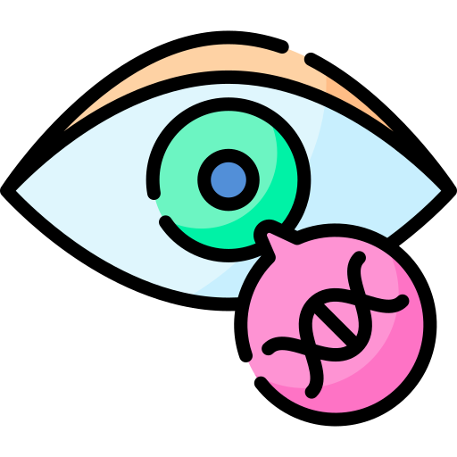 auge Special Lineal color icon