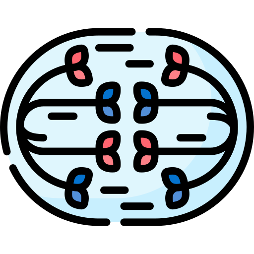 anaphase Special Lineal color icon