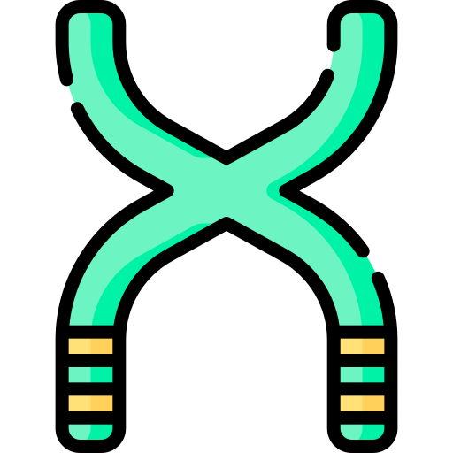 chromosom Special Lineal color icon
