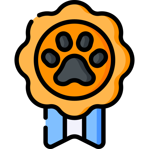 hundewettbewerb Special Lineal color icon