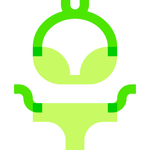 ビキニ Basic Sheer Flat icon