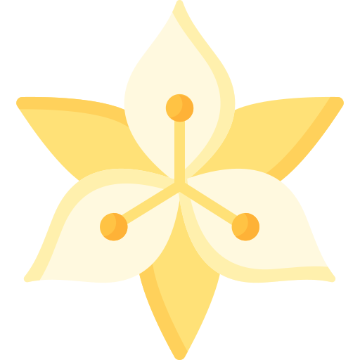 lilia Special Flat ikona