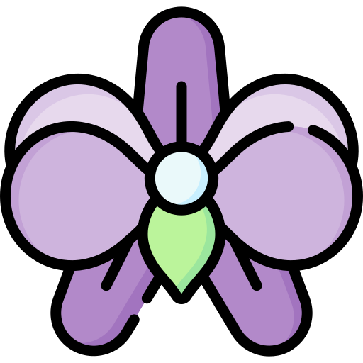 orquídea Special Lineal color icono