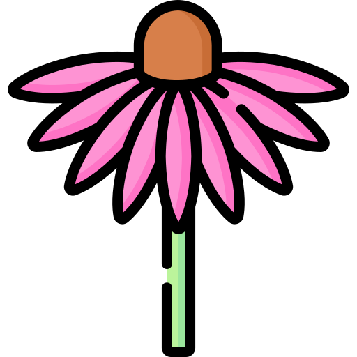 echinacea Special Lineal color icoon