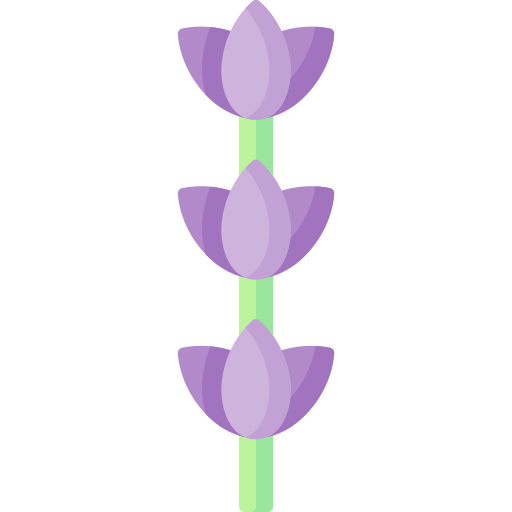 Lavender Special Flat icon