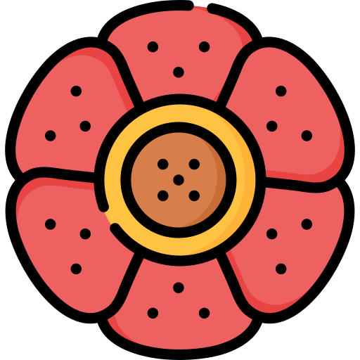 rafflesia Special Lineal color icono