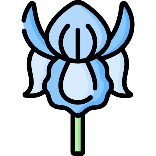 iris Special Lineal color icono