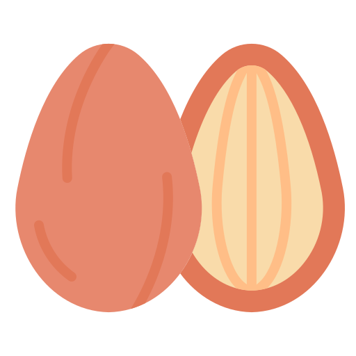 Almond Good Ware Flat icon