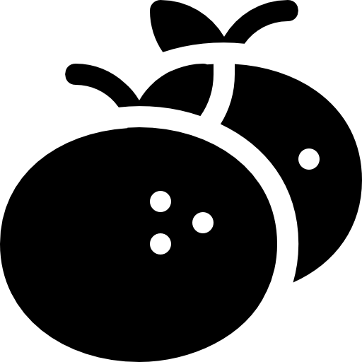 litschi Basic Rounded Filled icon