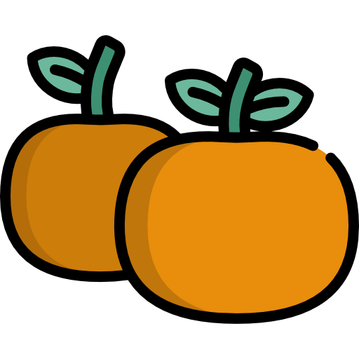mandarijn Special Lineal color icoon