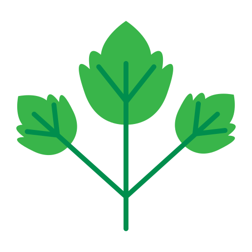 Parsley Generic Flat icon