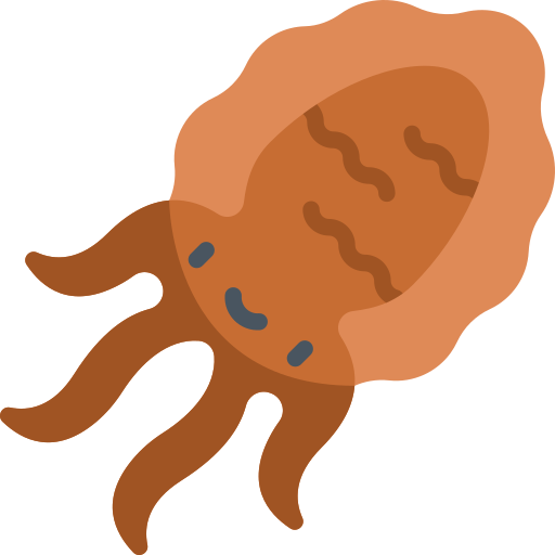 calamar Kawaii Flat icono