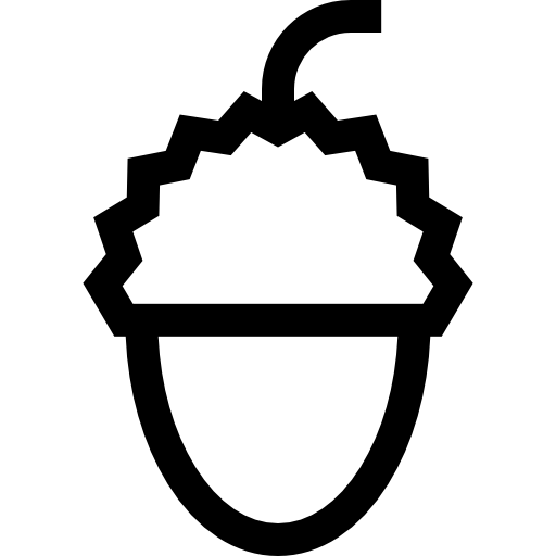 litchi Basic Straight Lineal icona
