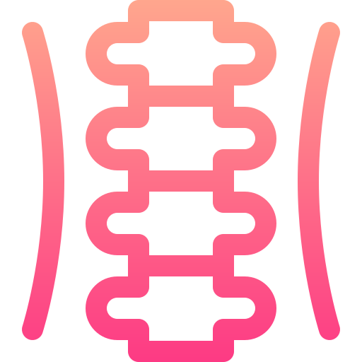 colonne vertébrale Basic Gradient Lineal color Icône