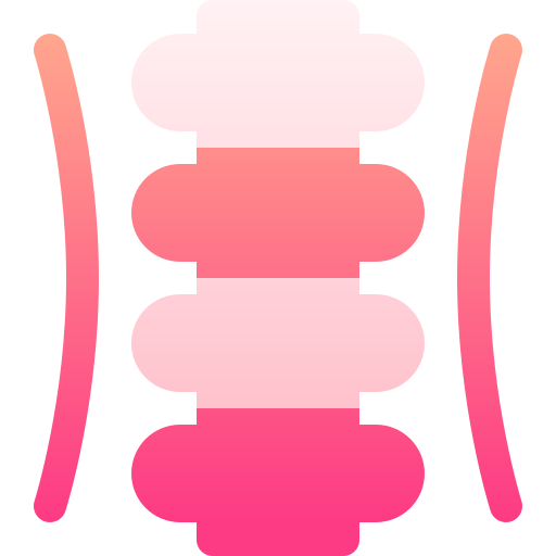 kręgosłup Basic Gradient Gradient ikona