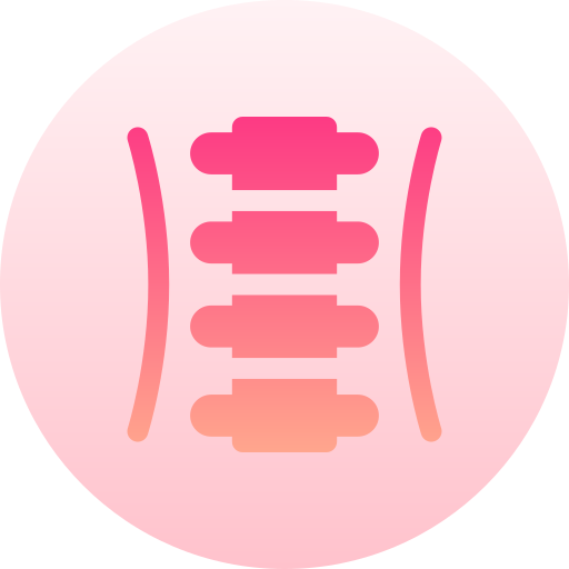 척추 Basic Gradient Circular icon