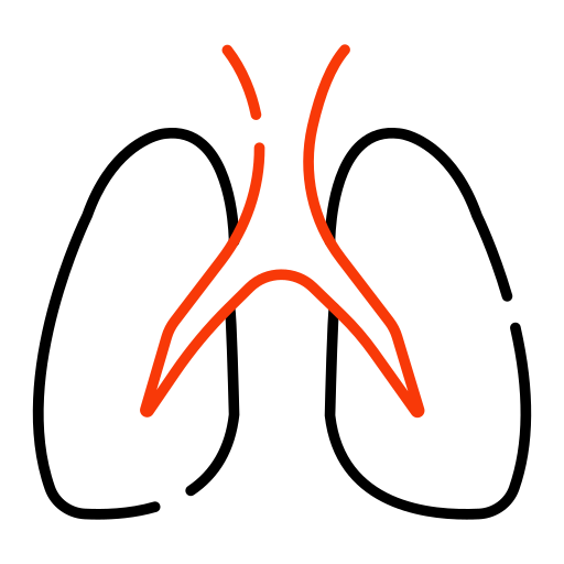 lunge Generic Outline Color icon